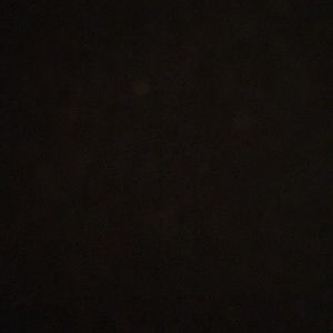 Meet your Posher, Leonard